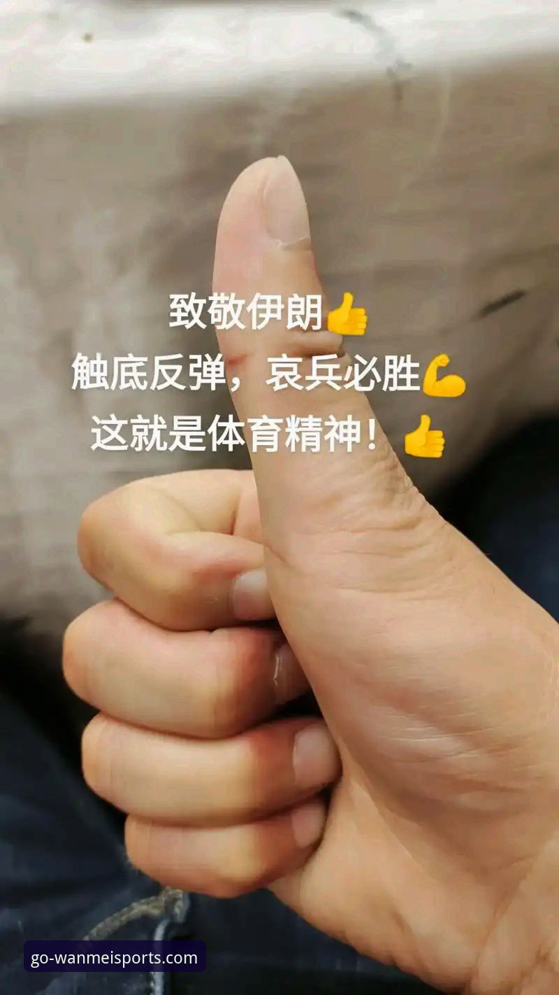 完美体育官方网站最新版安装教程 瑞典中场带伤战世界杯实用技巧:从完美体育平台解读韧性体育精神